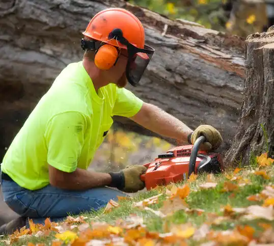 tree services Pacific